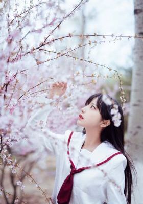 悬崖上的黑玫瑰短剧免费观看